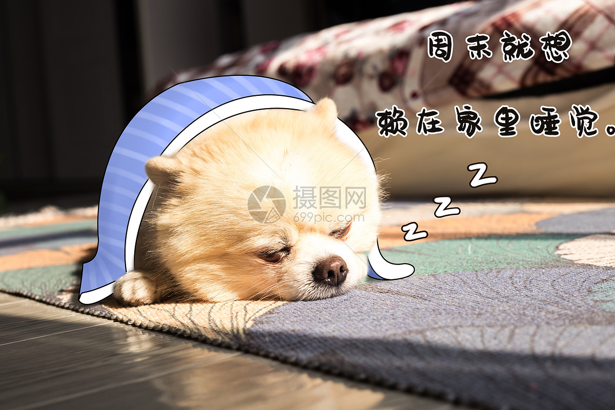 3,享受周末,睡到自然醒,晒晒太阳,去看看