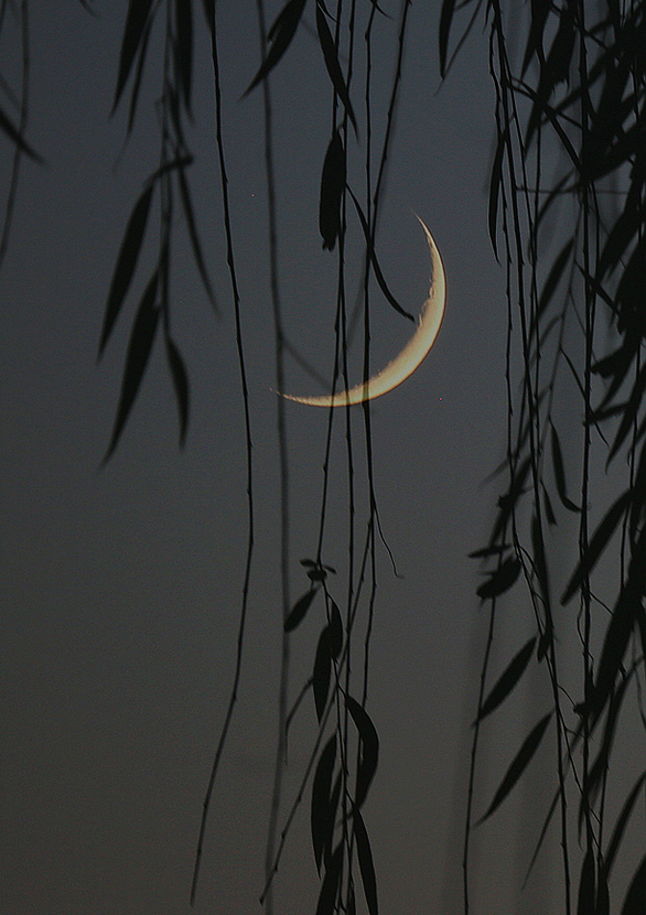 23,夜晚,满月升起来了,一片宁静随着银雾般的月光洒在大地上.
