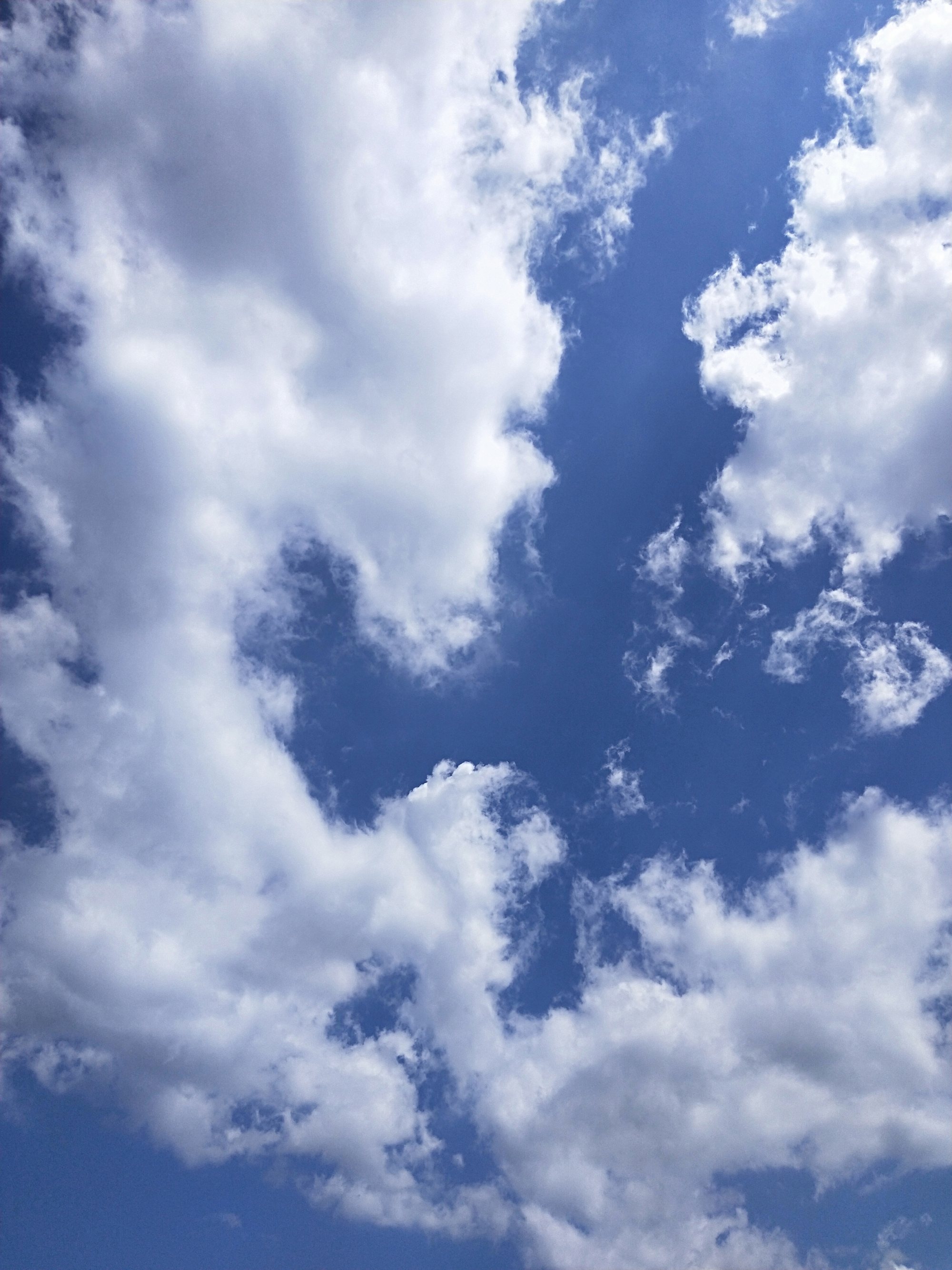 很好用的天气软件_很好奇女朋友跟前男友_天气很好的朋友圈文案