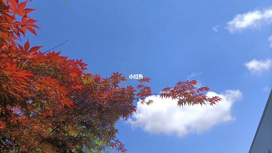 很好用的天气软件_天气很好的朋友圈文案_很好奇女朋友跟前男友