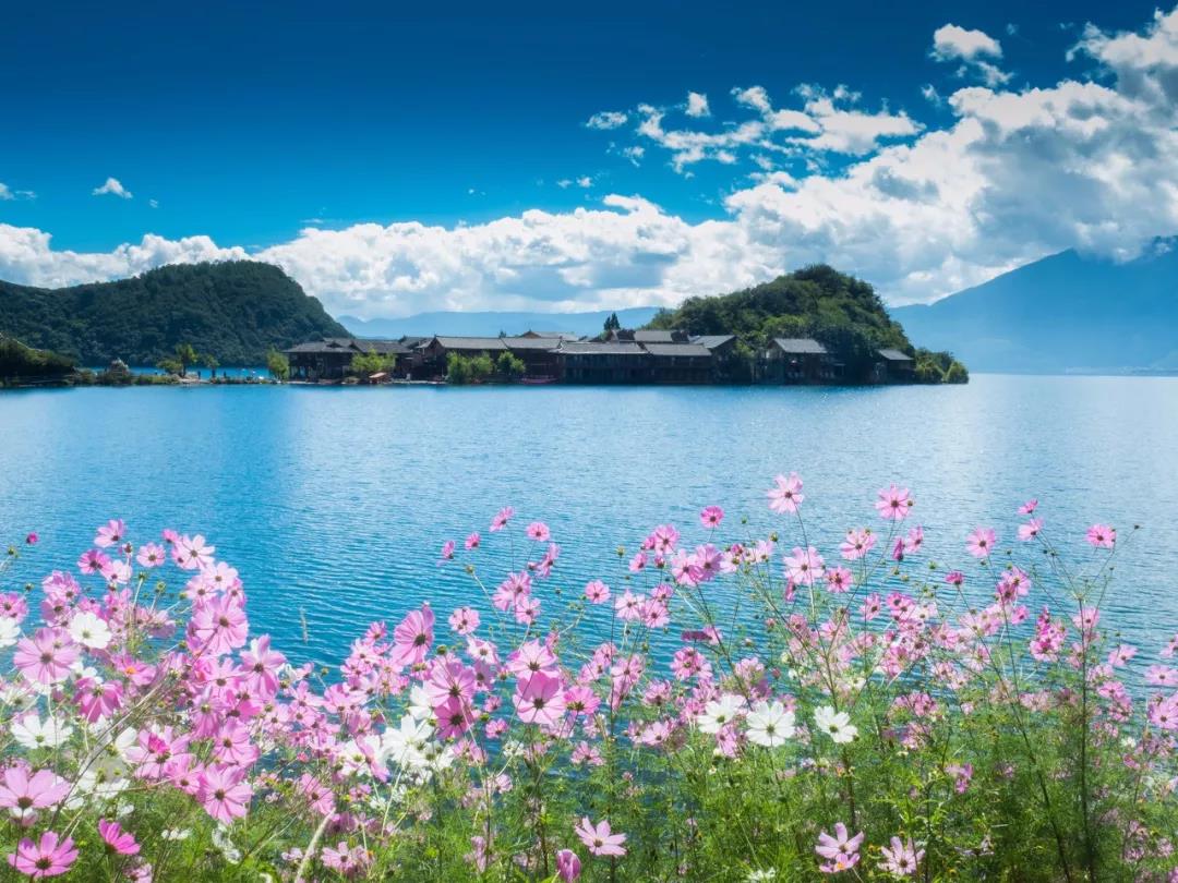 最想去旅游的地方及理由(最想去旅游的地方及理由800字)