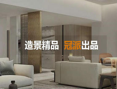 冠派国际